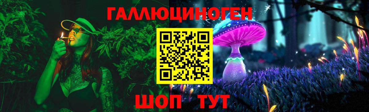 Моздок  Галлюциногенные грибы Cubensis  Вход с VPN 